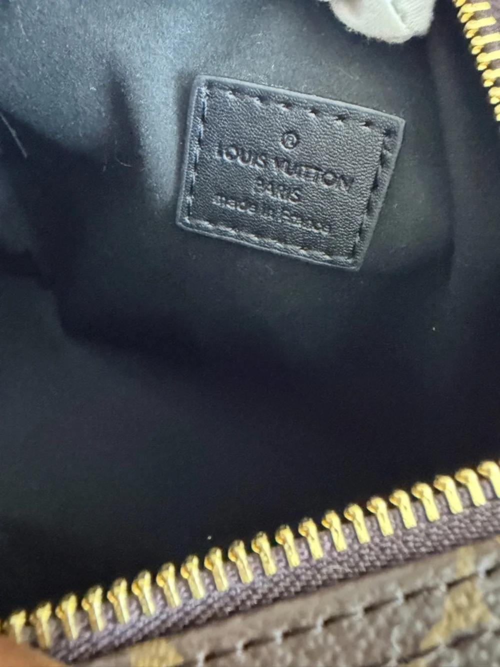 Louis Vuitton Teddy Mitt Monogram Shearling Bag - Picture 7 of 10